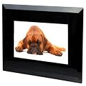 15" Pictorea Pro Digital Photo Frame (Black Glass) MP3/Movies & Jpeg + Remote with FREE 2GB SD Card