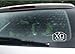 Chi Omega Car Decal wall saying vinyl lettering art decal car decal wall saying vinyl lettering