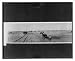 Historic Print (L): Subduing the desert, Imperial Valley, California