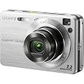 Sony Cybershot DSCW120 7.2MP Digital Camera with 4x Optical Zoom with Super Steady Shot (Silver)