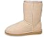 Apparel : Ugg Classic Short Chocolate