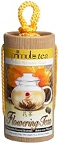 Primula 12-Pack Flowering White Tea, Peach