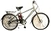 6 Speed Electric Mountain Bike