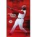 Cincinnati Reds MLB Griffey Baseball Poster Print - 24x36