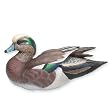 Quarter Life-size American Widgeon Duck