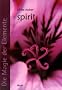 Die Magie der Elemente: Band V: spirit