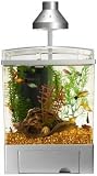 Pet Supplies : Tetra 29166 Water Wonders Aquarium Kit, 3-Gallon, Black