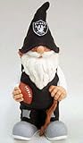 Oakland Raiders NFL 11