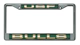 South Florida Laser Chrome Frame