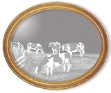 Decorative Framed Mirror Wall Decor With Cow Etched Mirror - Cow Decor - Unique Cow Gift Ideas - Ready To Hang - 23'' w x 19'' h