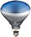 GE Lighting 21000 120-Watt Incandescent Plant Lighting Bulb, R40 Style (5