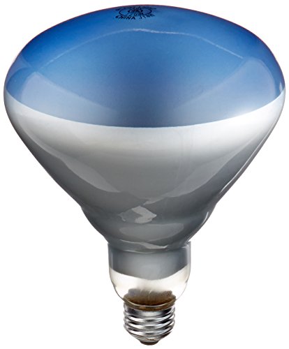 GE Lighting 21000 120-Watt Incandescent Plant Lighting Bulb, R40 Style (5