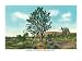 Nevada, View of a Model T Crossing the Desert through the Arrowhead Trail Giclee Poster Print