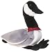 Ty Beanie Babies - Loosy the Canadian Goose