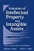 Book Valuation of Intellectual Property and Intangible Assets, 2004 Cumulative Supplement  (Valuation of Intellectual Property and Intangible Assets Cumula