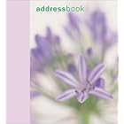 Click here to buy Chic Flowers Mini Address Book by  Polly Wreland.