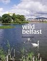 Wild Belfast