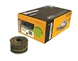 Bostitch C8R90BDG Thickcoat 2-1/2-Inch by .090-Inch 15 Degree Ring Shank Coil Siding Nail (3,600