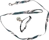 Philadelphia Eagles Dog Leash & Collar Set