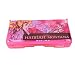 Hannah Montana Case for Nintendo DS Lite