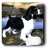Dogs English Springer Spaniel - Black And White Springer Spaniel - Mouse Pads