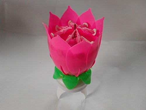 ZYBF Amazing Musical Fountain Sparkling Birthday Candle Flower Special For Your Birthday,Pink,Pack of 2