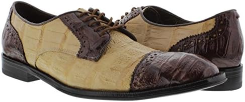 Dolce Pelle - Men's Derby Shoes in Beige &amp; Brown Full Genuine Crocodile Skin with Semi Brogues Cap Toe 8 EE