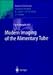 Books : Modern Imaging of the Alimentary Tube