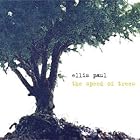 The Speed of Trees by  Ellis Paul 
