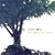 The Speed of Trees