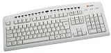 Labtec Internet Keyboard (PS2)