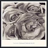 Roses, Mexico, Framed Art Print by Tina Modotti Roses, Mexico, Framed Art Print by Tina Modotti