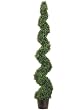 6' Knock-down Pond Boxwood Spiral Topiary in Plastic Pot Green