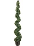 6' Knock-down Pond Boxwood Spiral Topiary in Plastic Pot Green