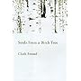 Seeds from a Birch Tree: Writing Haiku and the Spiritual Journey