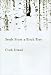 Seeds from a Birch Tree: Writing Haiku and the Spiritual Journey