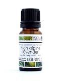 High Alpine Lavender Essential Oil