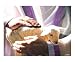 The Chosen Animals Giclee Poster Print by Bill Stephens, 24x20