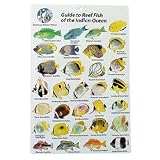 Water proof Fish Species Guide to reef fish of the Indian Ocean Outdoor Living