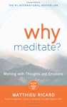 Why Meditate? [With CD (Audio)]