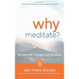 Why Meditate: Working with Thoughts and Emotionsby Matthieu Ricard