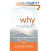 Why Meditate? [With CD (Audio)]