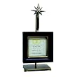 Victoria Hagan® Square North Star Frame
