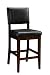 Linon Milano Counter Stool 24
