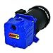 AMT Pump 285J-95 Self-Priming Centrifugal Pump, Cast Iron, 1 HP, 3 Phase, 230/460V, Curve C, 1-1/4" NPT Female Suction & Discharge Ports