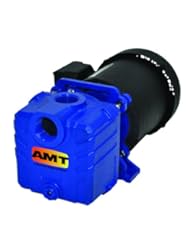 AMT Pump 285P-95 Self-Priming Centrifugal Pump, Cast Iron, 3/4 HP, 3 Phase, 230/460V, Curve B, 1-1/4" NPT Female Suction & Discharge Ports