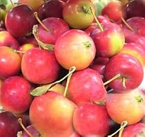 Melissa's Fresh Crab Apples (3lb)