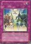 Yu-Gi-Oh! - Inherited Fortune - Stardust Overdrive - #SOVR-EN067 - 1st Edition - Rare
