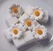 Daisy Sugar 