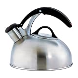 SoftWorks Brushed Stainless Tea Kettle